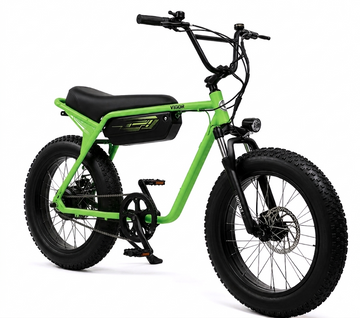 VIGOREBIKE ZE GREEN LIMITED EDITION | 36V Battery | 350W BLDC Motor | 30+ km PAS Range | 25 km/h | Fat Tyres